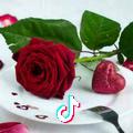 真心玫瑰，(回族)