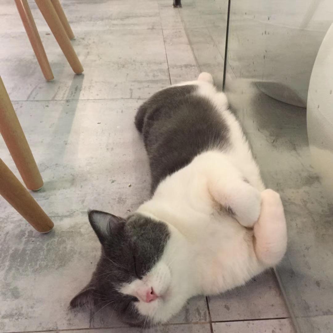 左邻右舍健身-冯教练