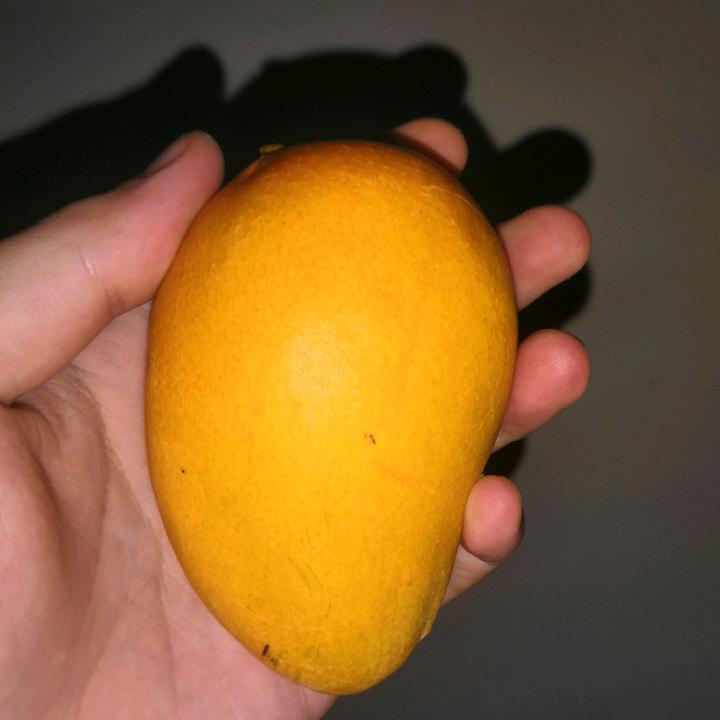 暮晨