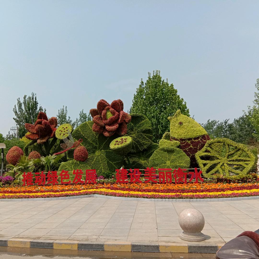 与众不同