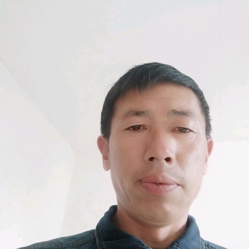 戴定华