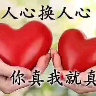 琴姐
