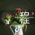 会飞的虎