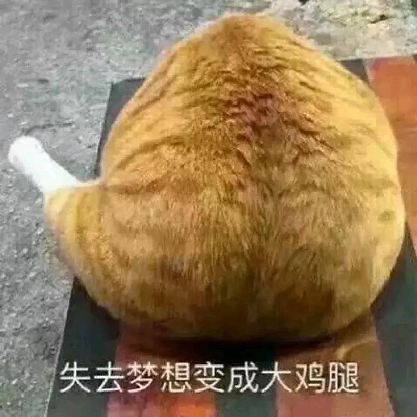 居然商都—刘瞳
