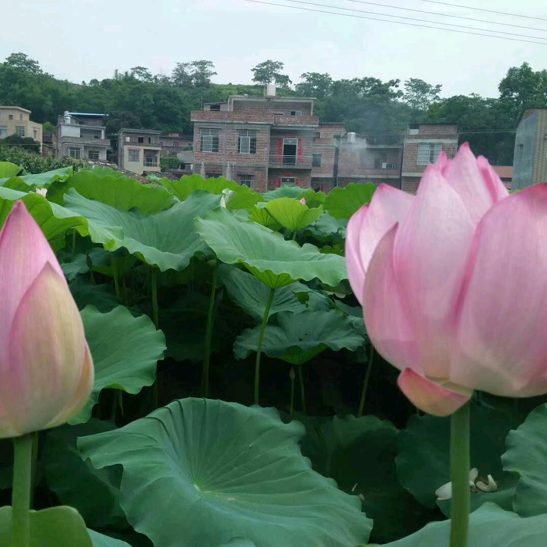 有缘相聚232143687