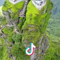 2022年正月五日是我以后永远忘不了的痛