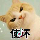 妮霸霸