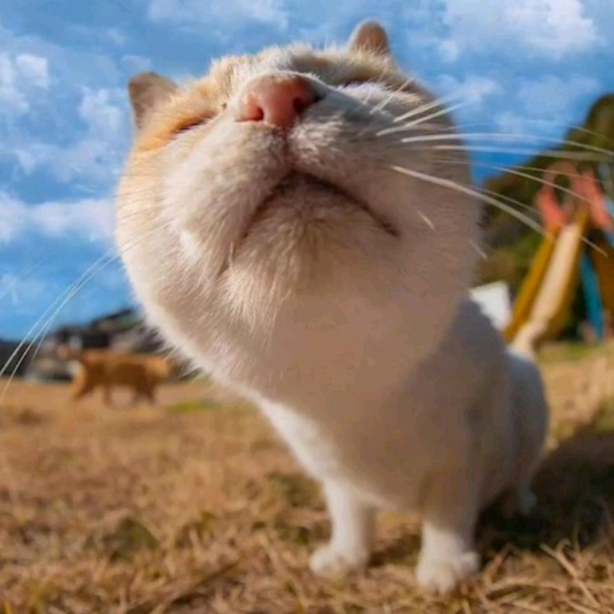 故里