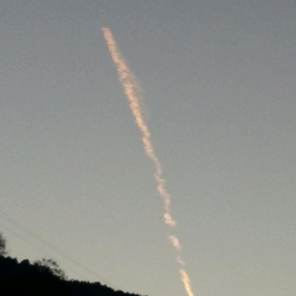 人生得意须尽欢