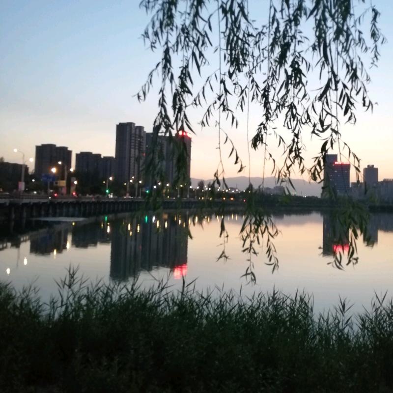 沙漠