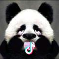 闪哥