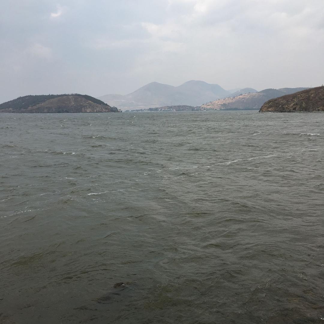 小阳