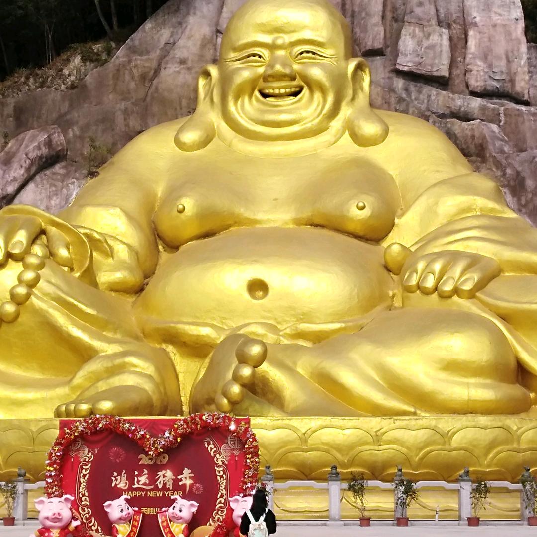 张教练