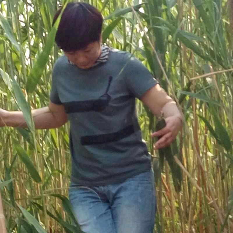 梅姐