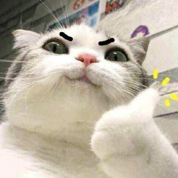 赞喵🐈
