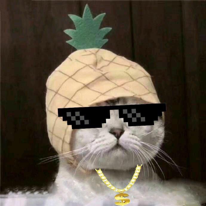 　,,　 .. X