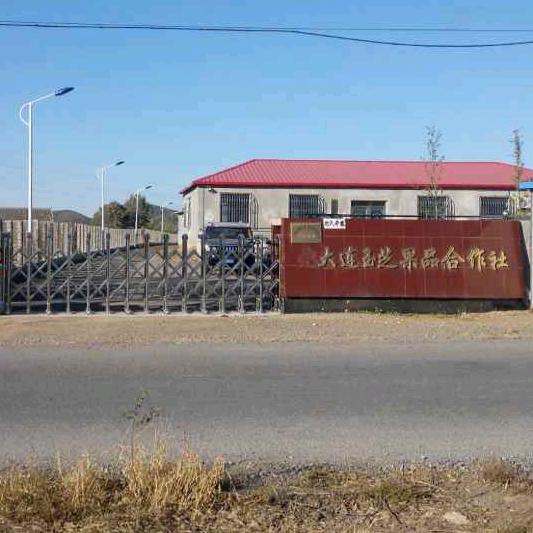 樱桃哥（大连）炮台