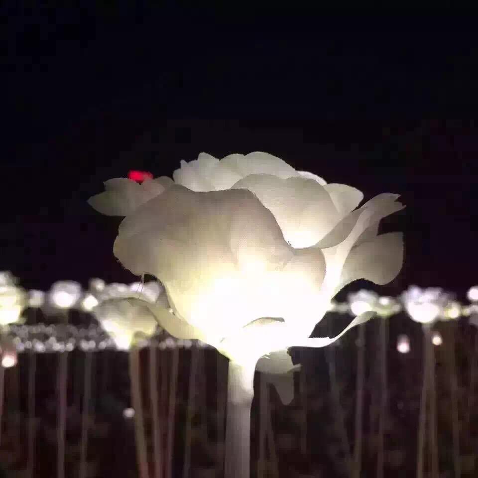 雪峰^_^