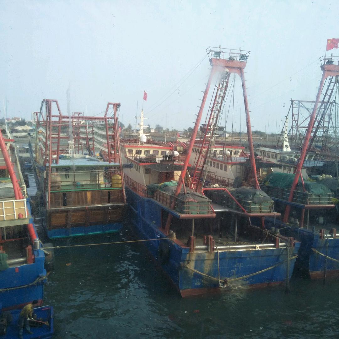 咨询认证-奚晓丽~~~源码渔鲜