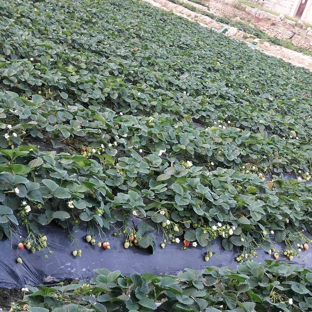 难忘的人生！！！