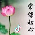 无语  (不要连赞)