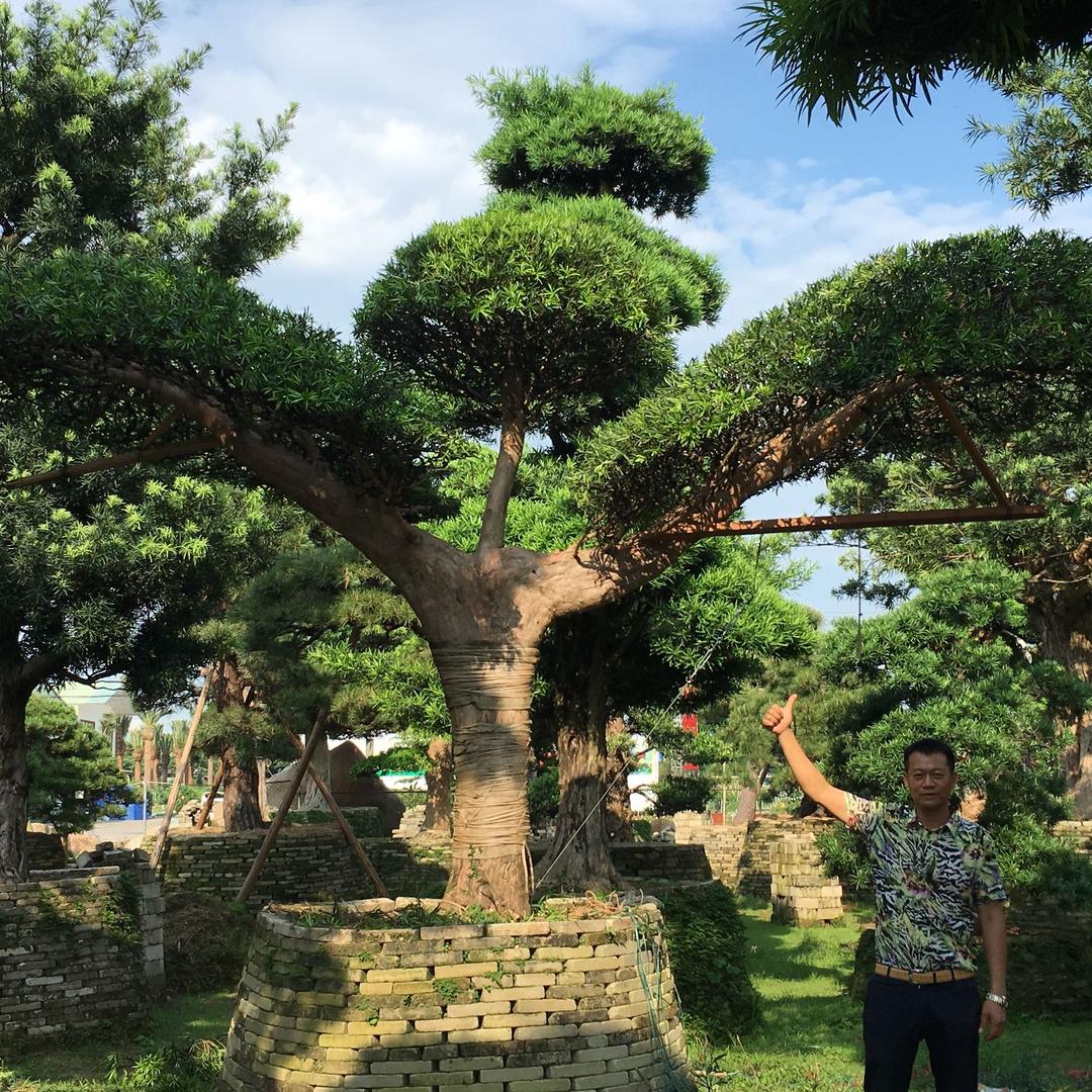 万福园艺