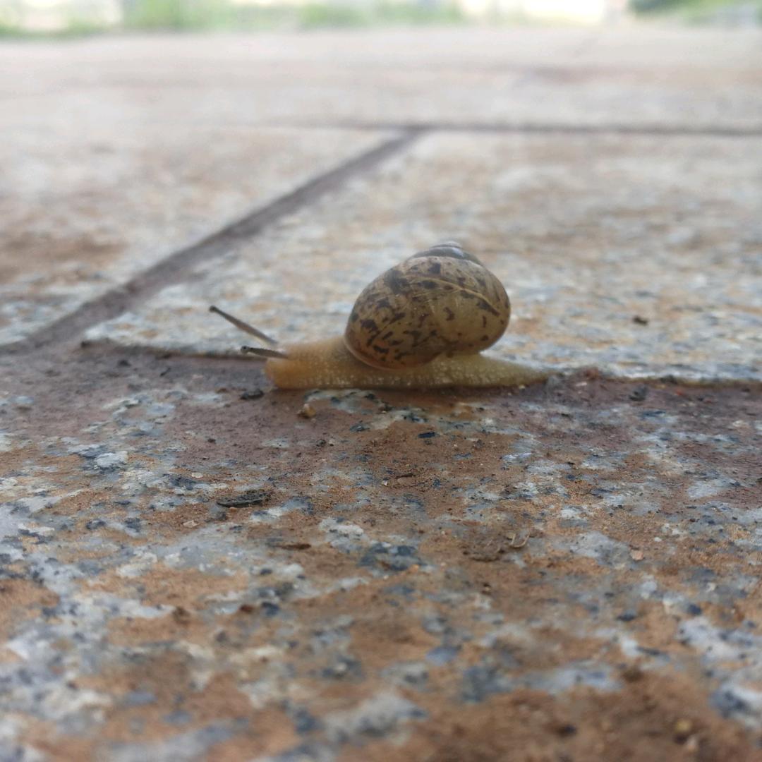 一笑大方--三嫂海鲜