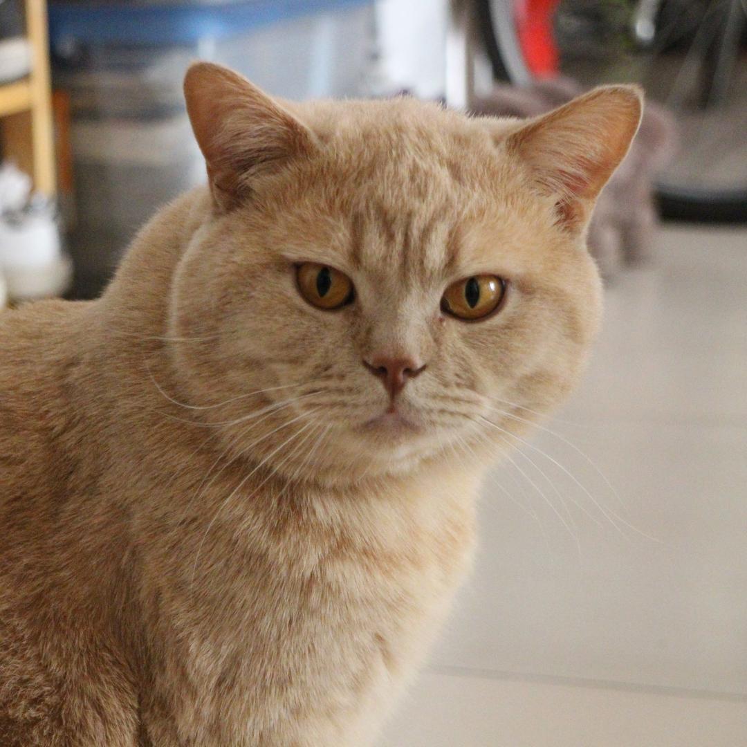 鲁班不是祖师爷