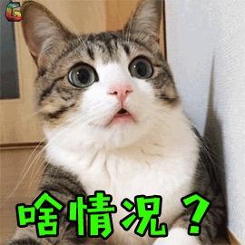 小甜甜💕💥💥