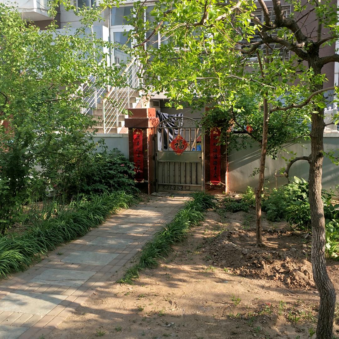 小晨晨