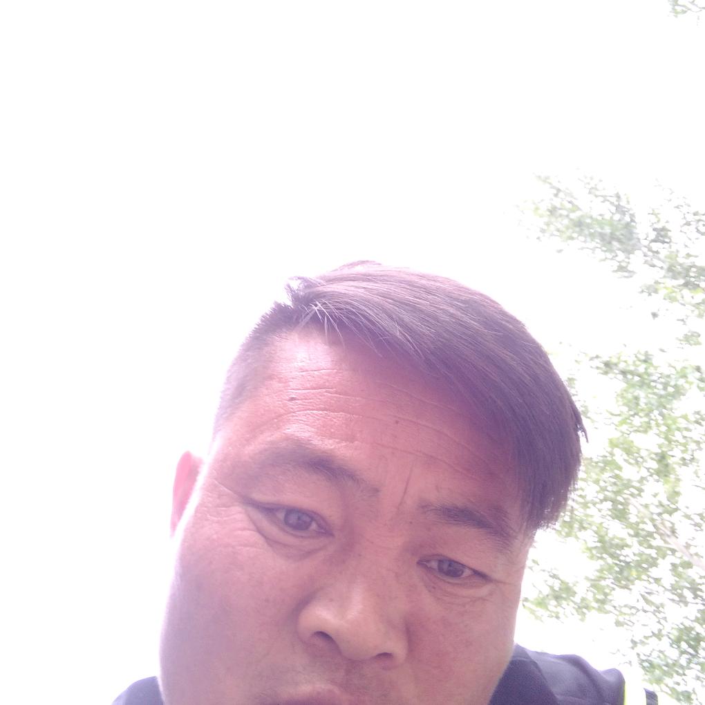 刘雷