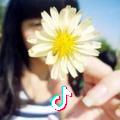 小章鱼的海岛生活