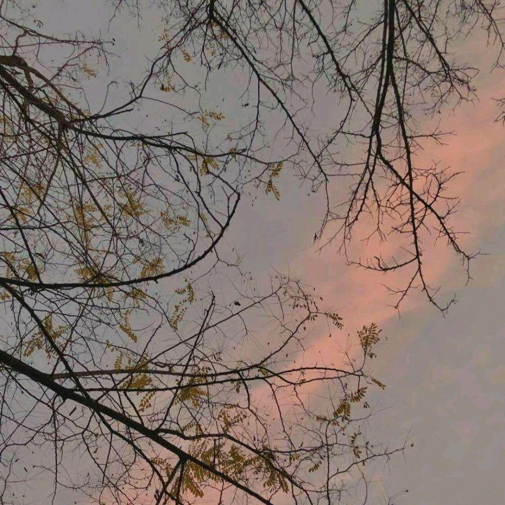 难得糊涂