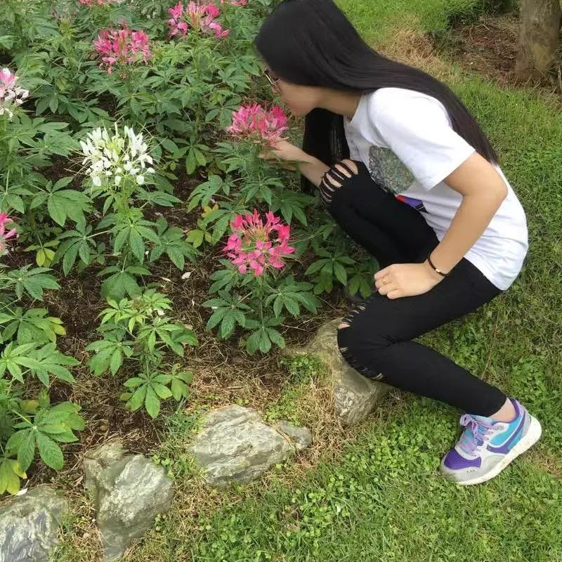 你是我的阳光