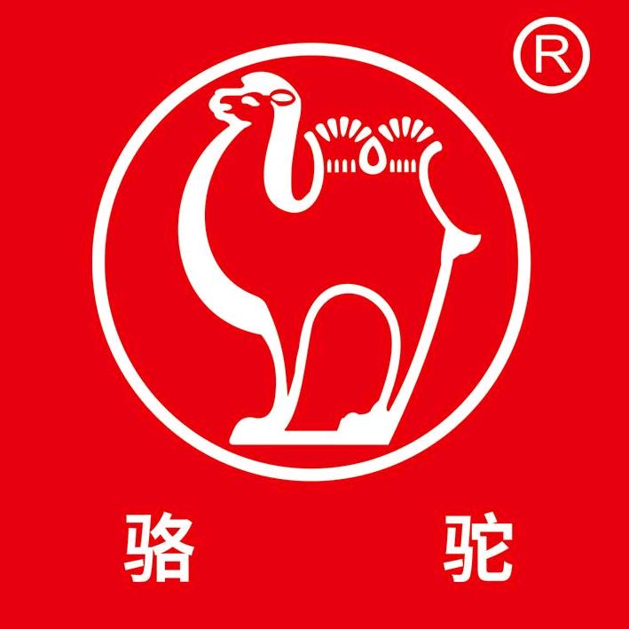 骆驼蓄电池丽水总代理(电瓶批发)