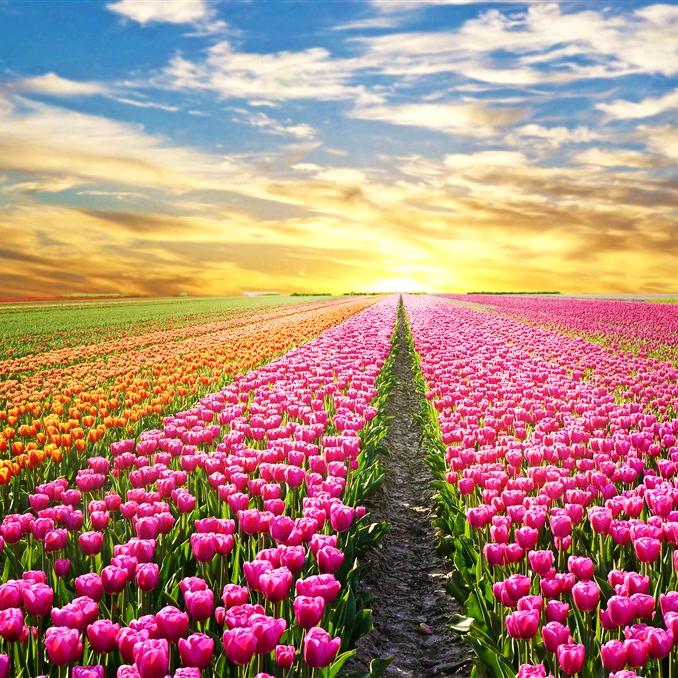 陈官镇玉莲理容中心