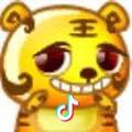 赤城白彗星💫
