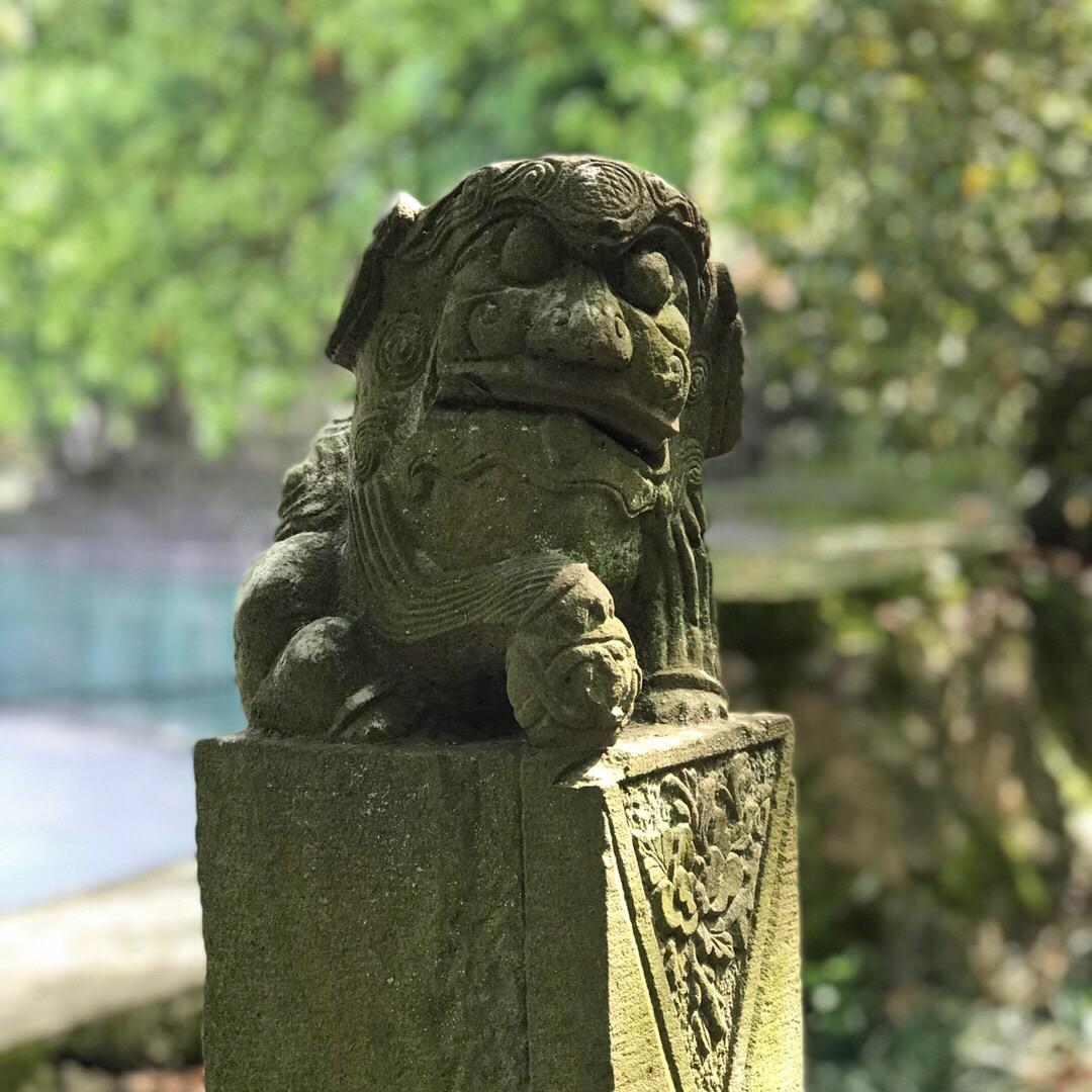 新中的日常