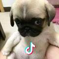 AAAAAA小伙子