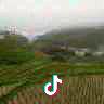 zheng