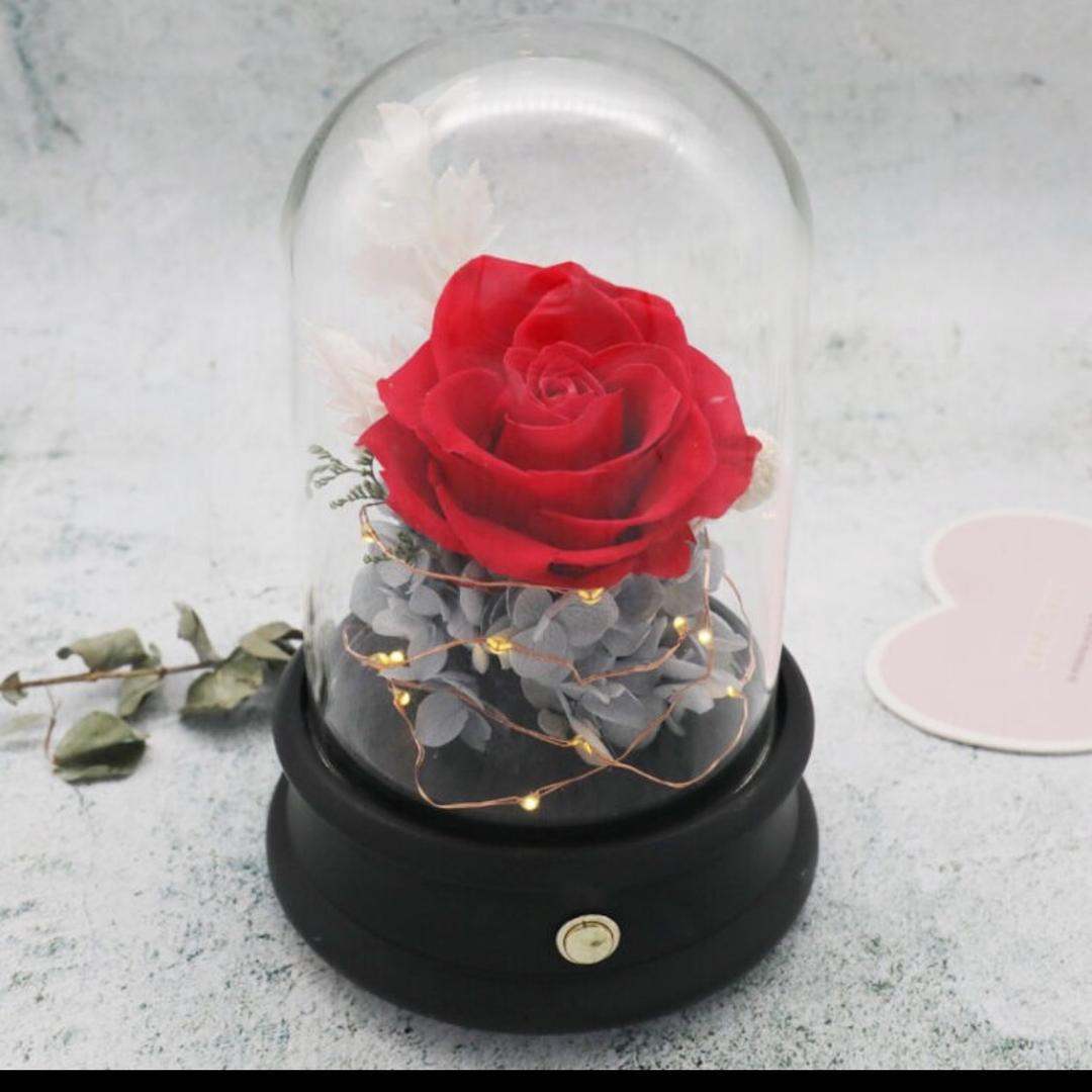 @叮当🦜（彬彬力量）