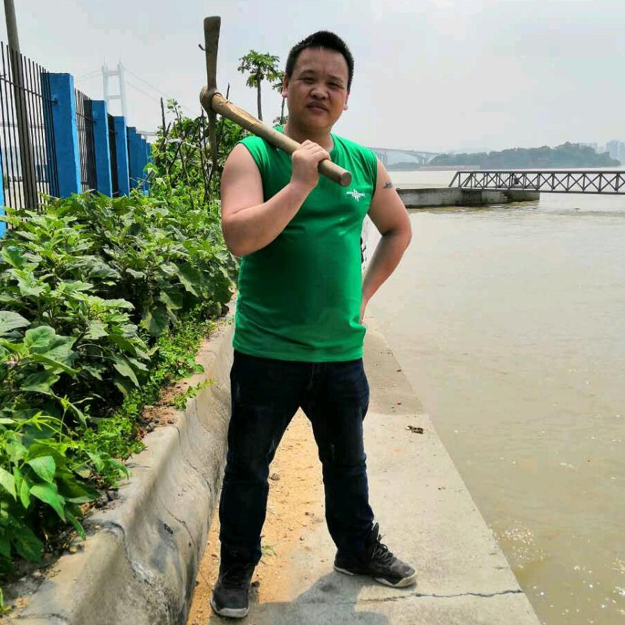 杨辉