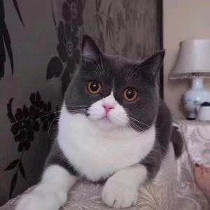 爱笑