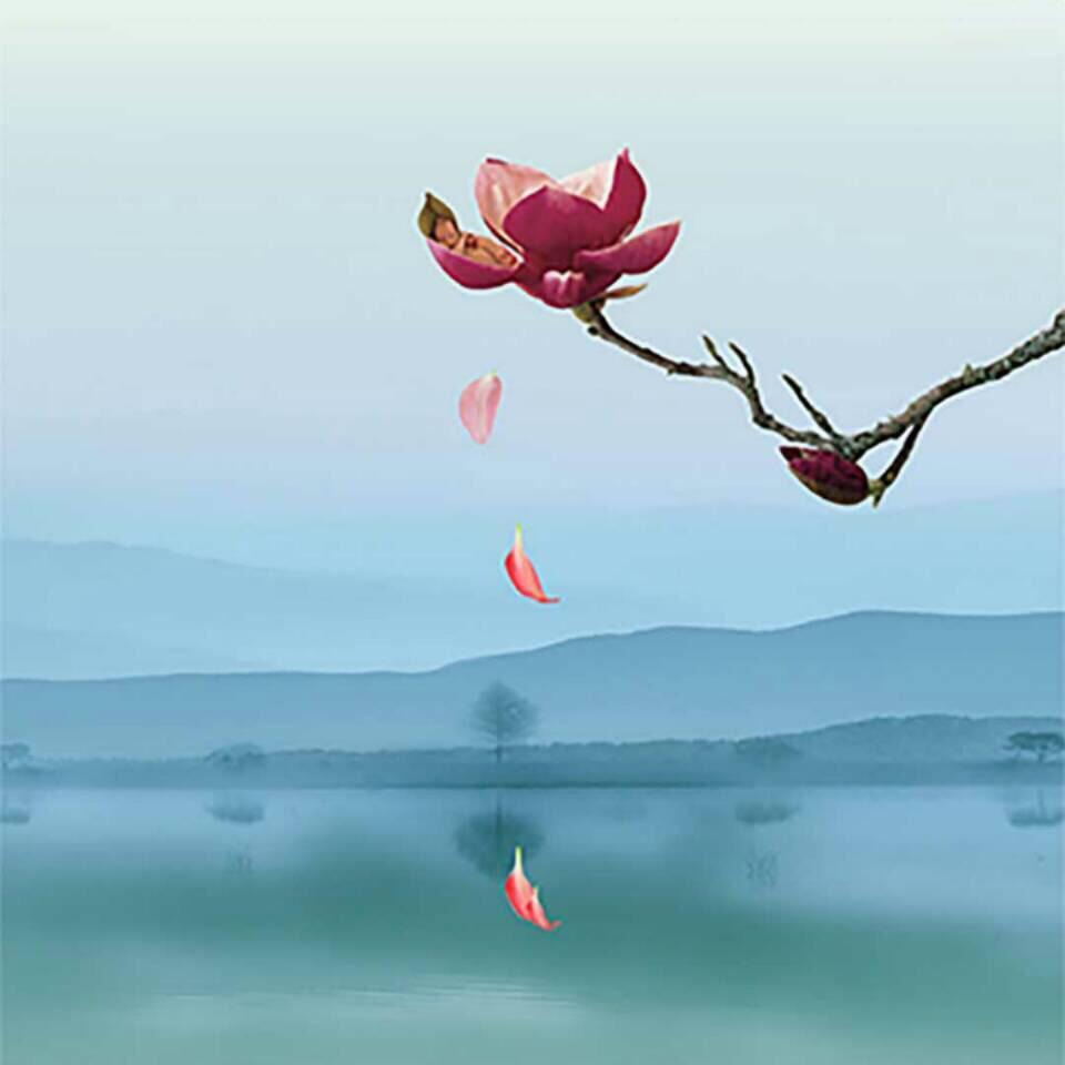 钟山区心心花屋