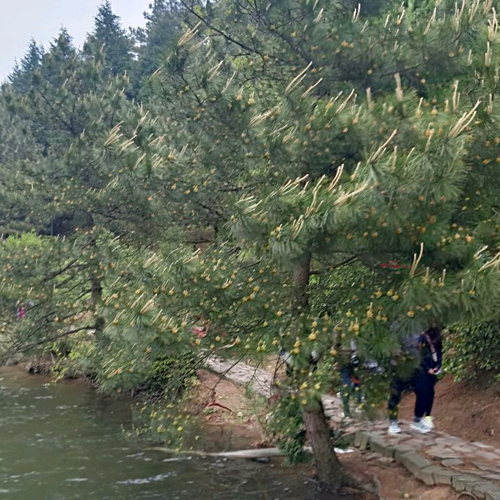岁月静好💃🌹