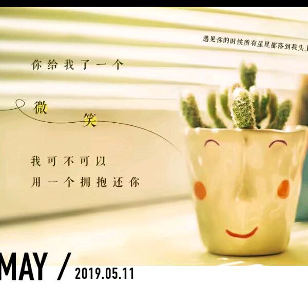 紫月莫红