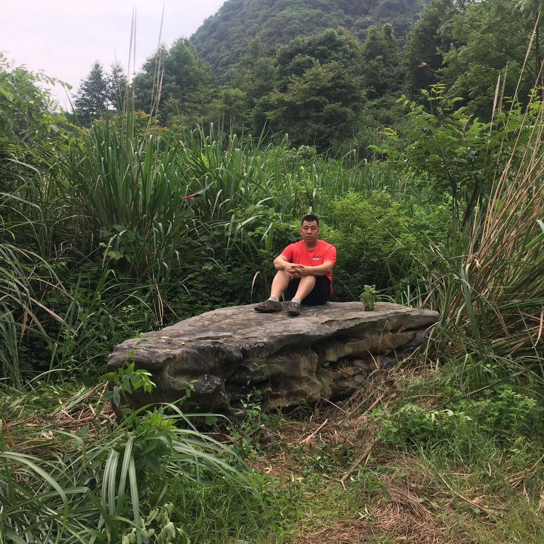 广西桂林雨林苗圃基地