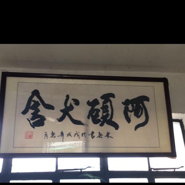 上海市奉贤区暴波宠物