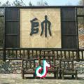 阳阳