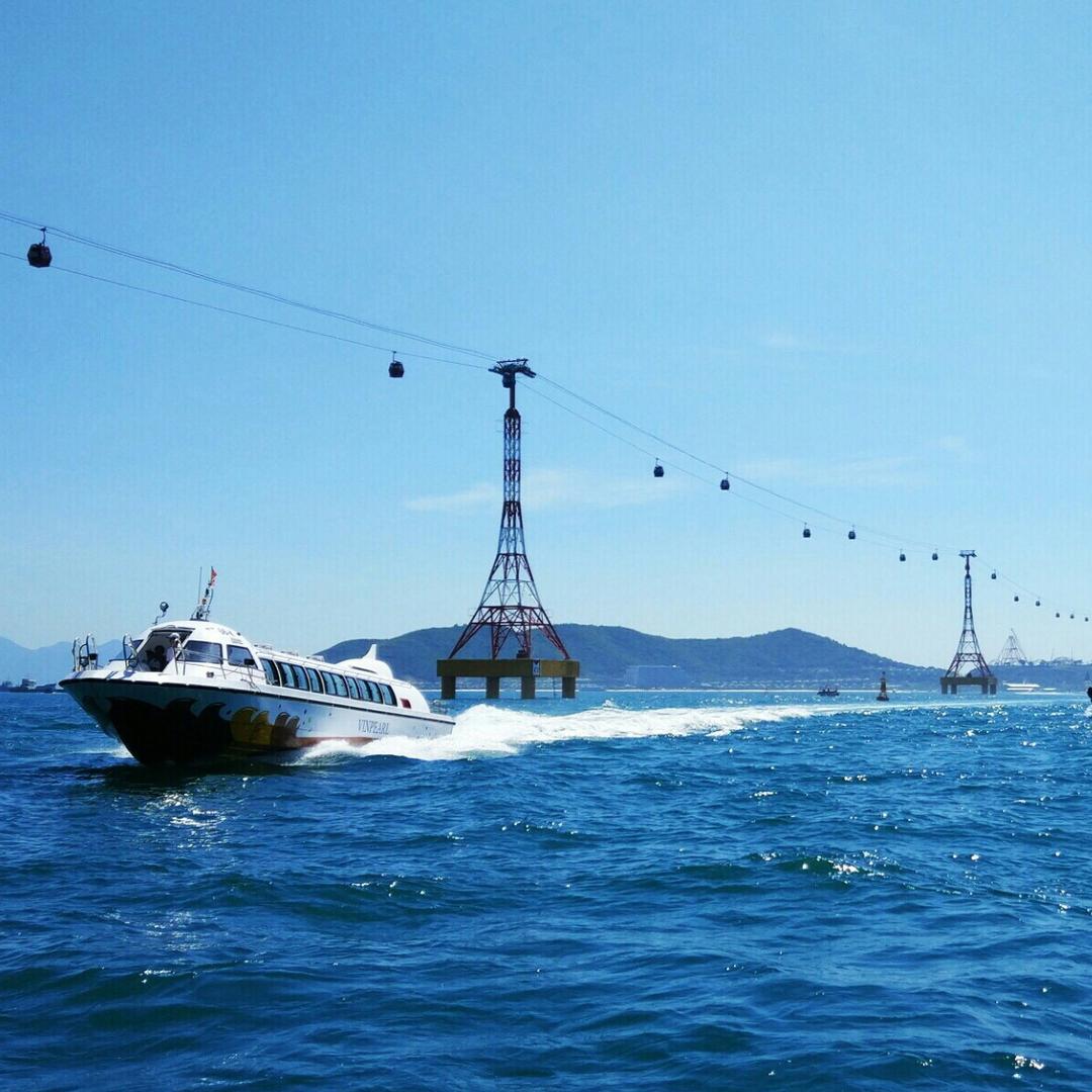 心如薄荷天然凉